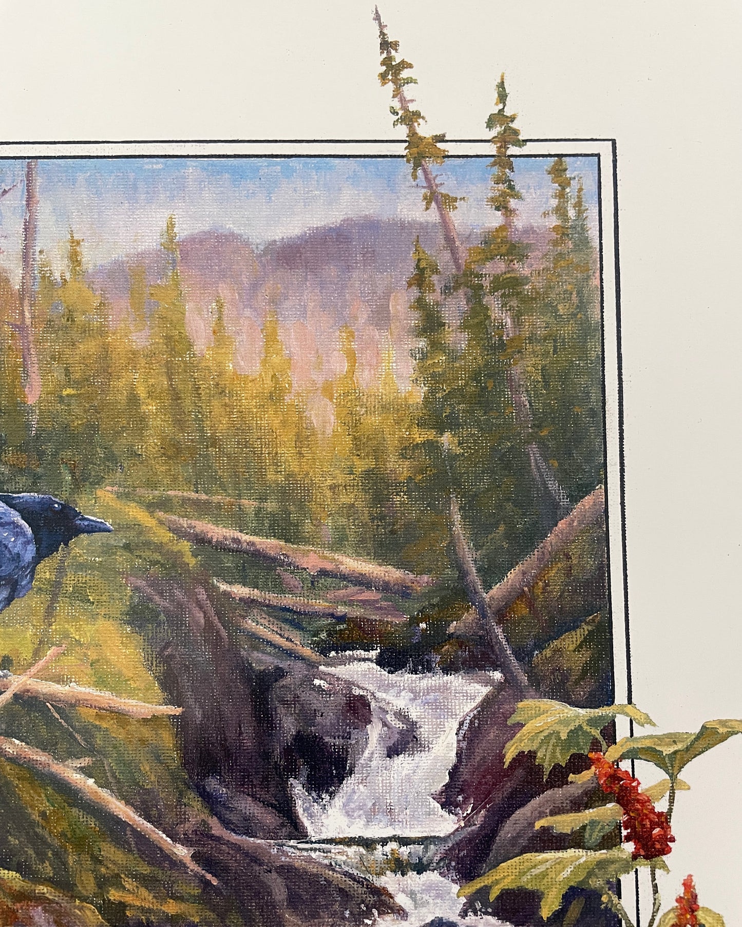Kokanee Canyon Ravens 12x16 Print