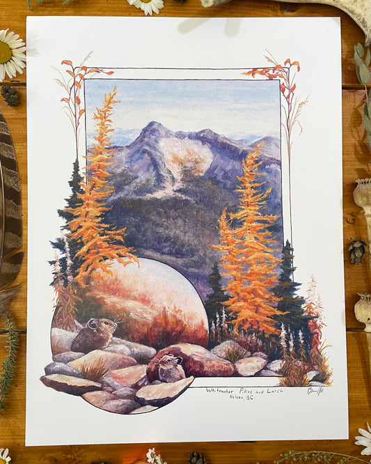 Pika and Larch 12x16 Print