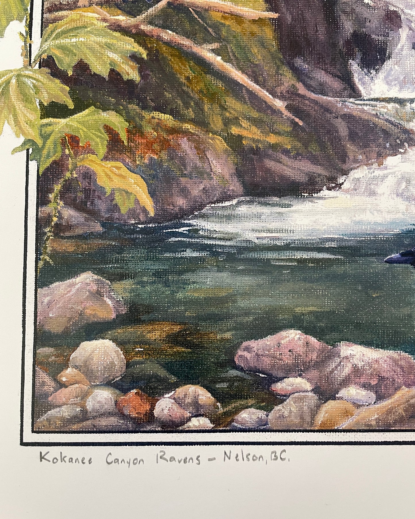 Kokanee Canyon Ravens 12x16 Print
