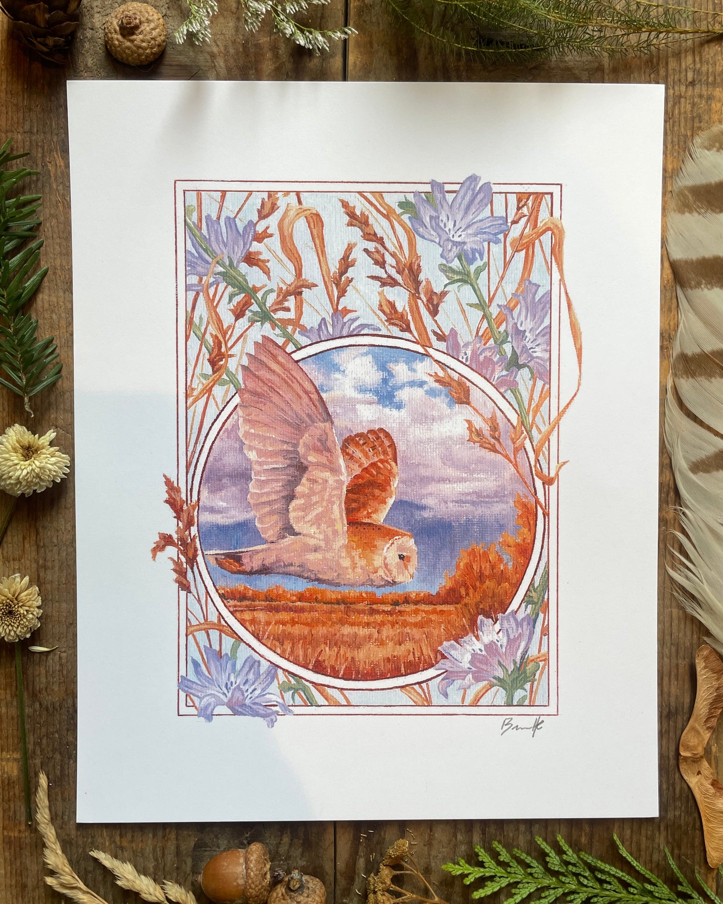 Bar Owl and Chicory 8x10 Print