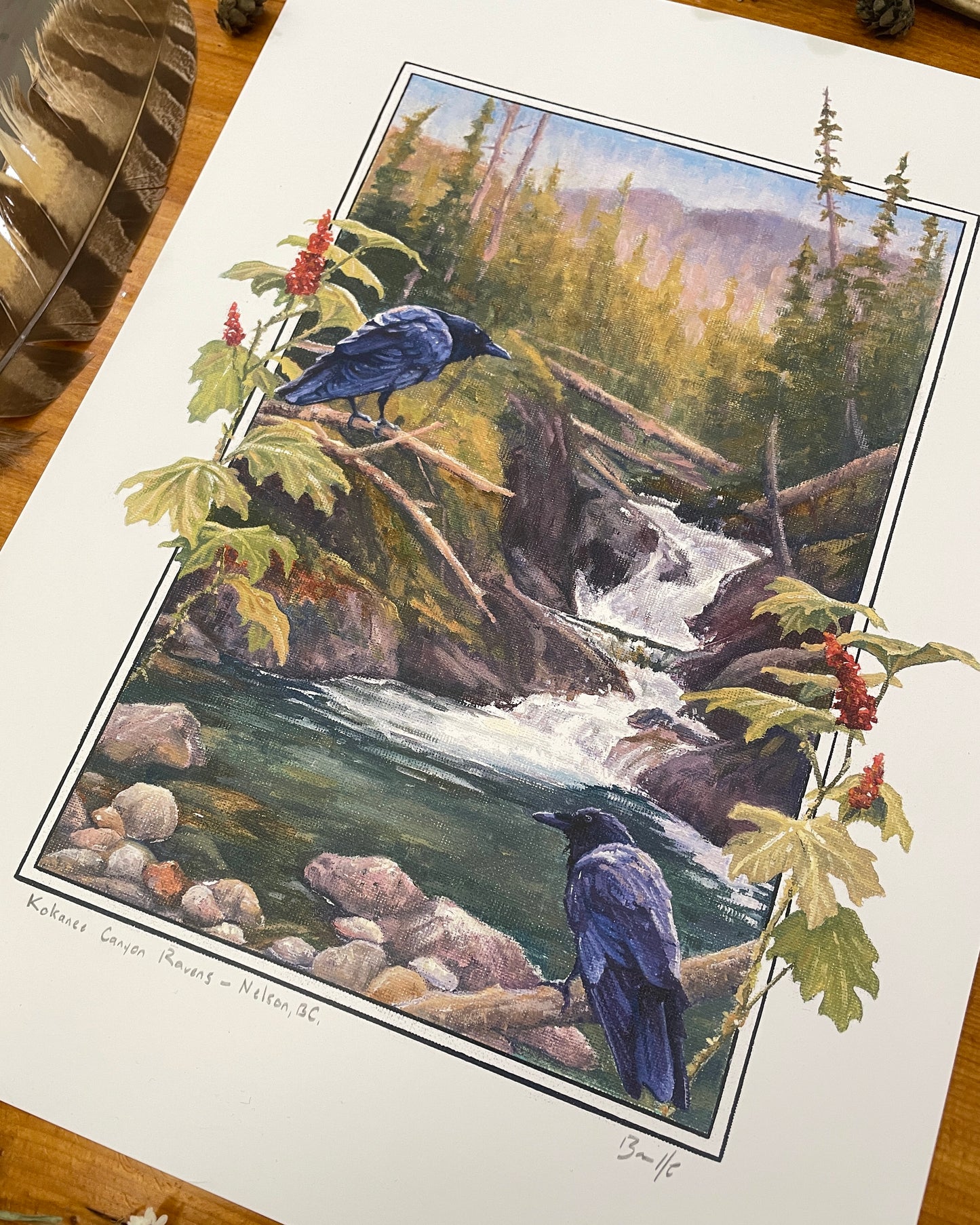 Kokanee Canyon Ravens 12x16 Print