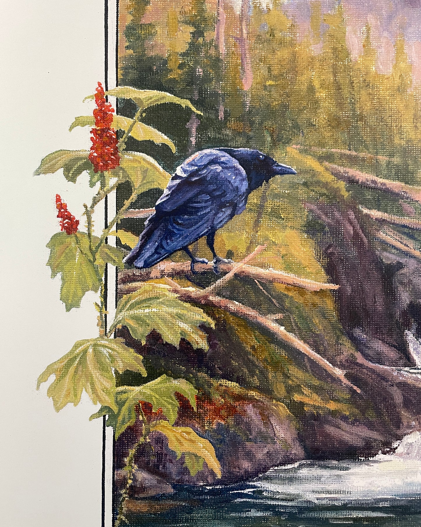 Kokanee Canyon Ravens 12x16 Print