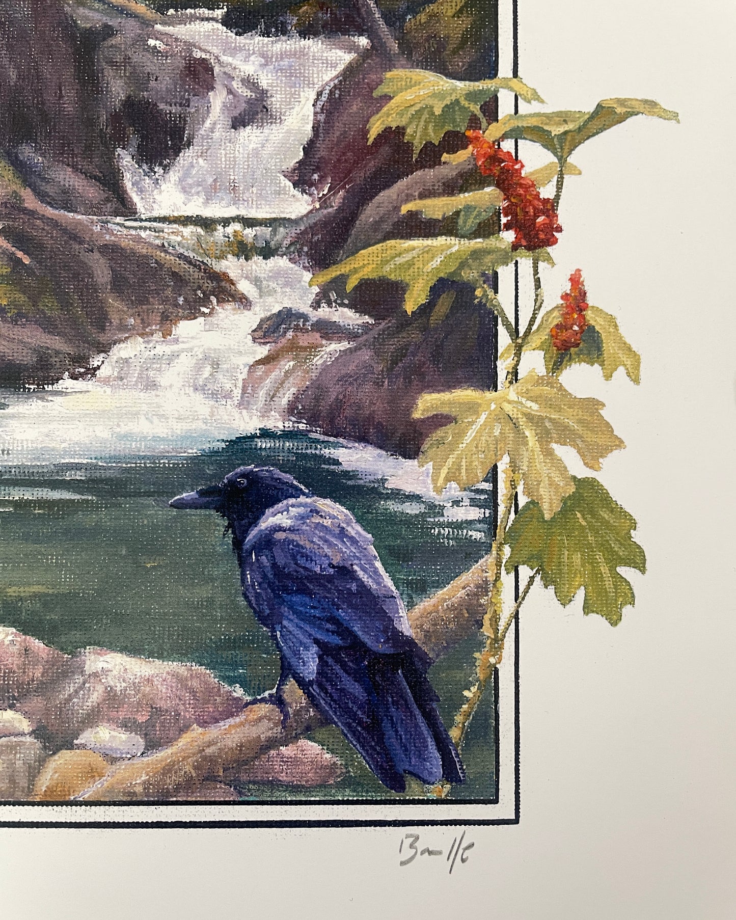 Kokanee Canyon Ravens 12x16 Print