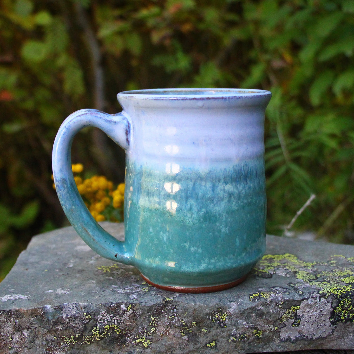 1. 16oz. Alpine Wildflower and Butterfly Mug