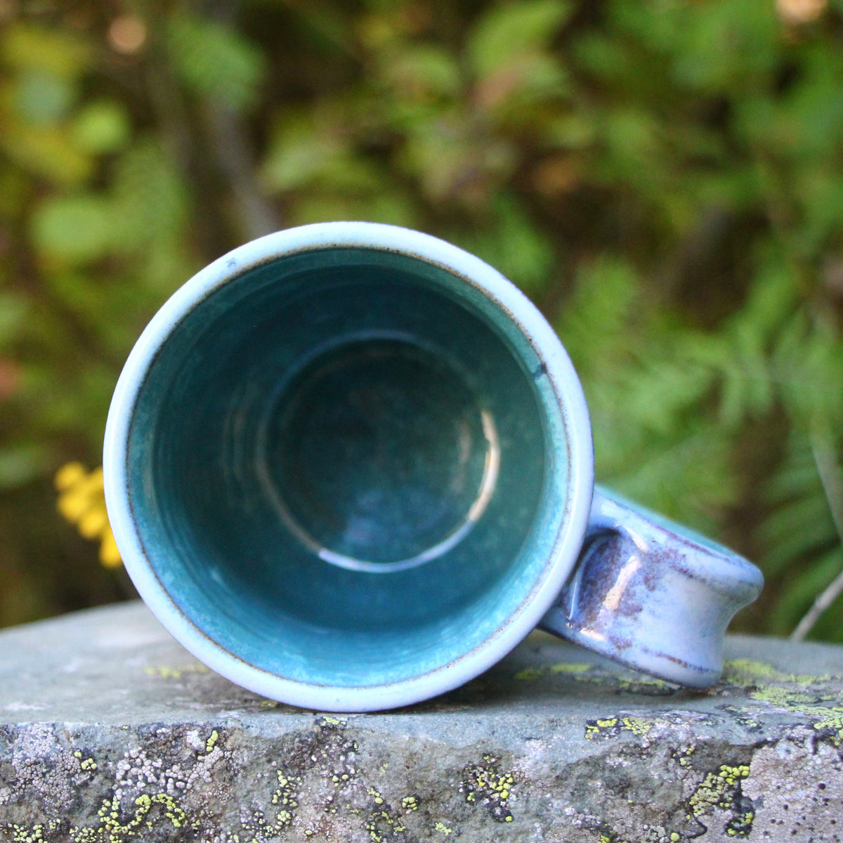 1. 16oz. Alpine Wildflower and Butterfly Mug