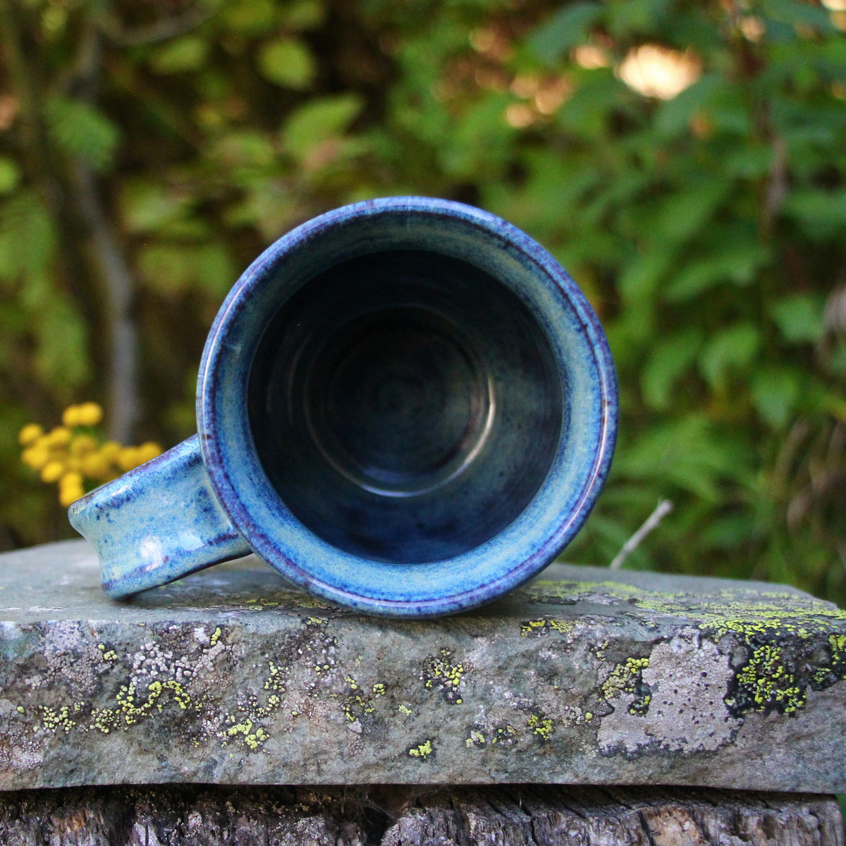 2. 17oz. Rainbow Trout Mug