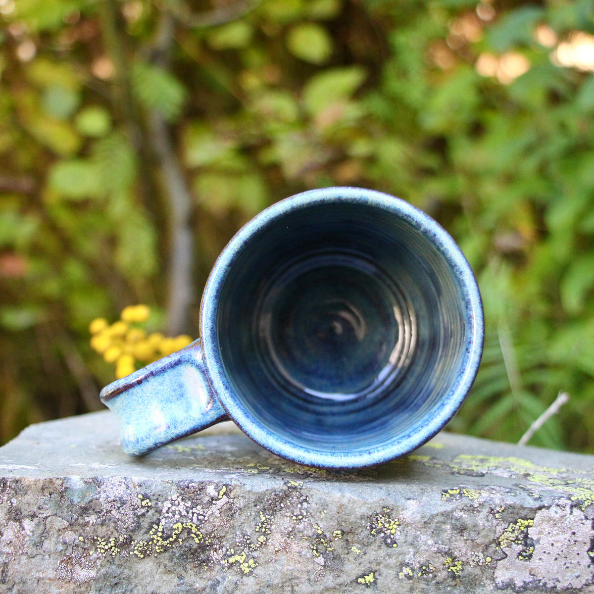 3. 16oz. Black Bear and Cub Mug