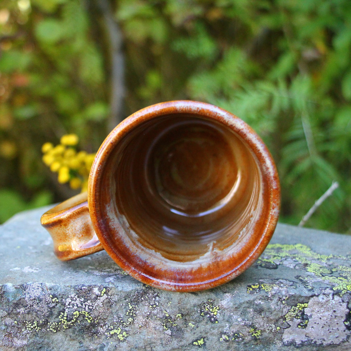 7. 16oz. Snowy Larch Mug