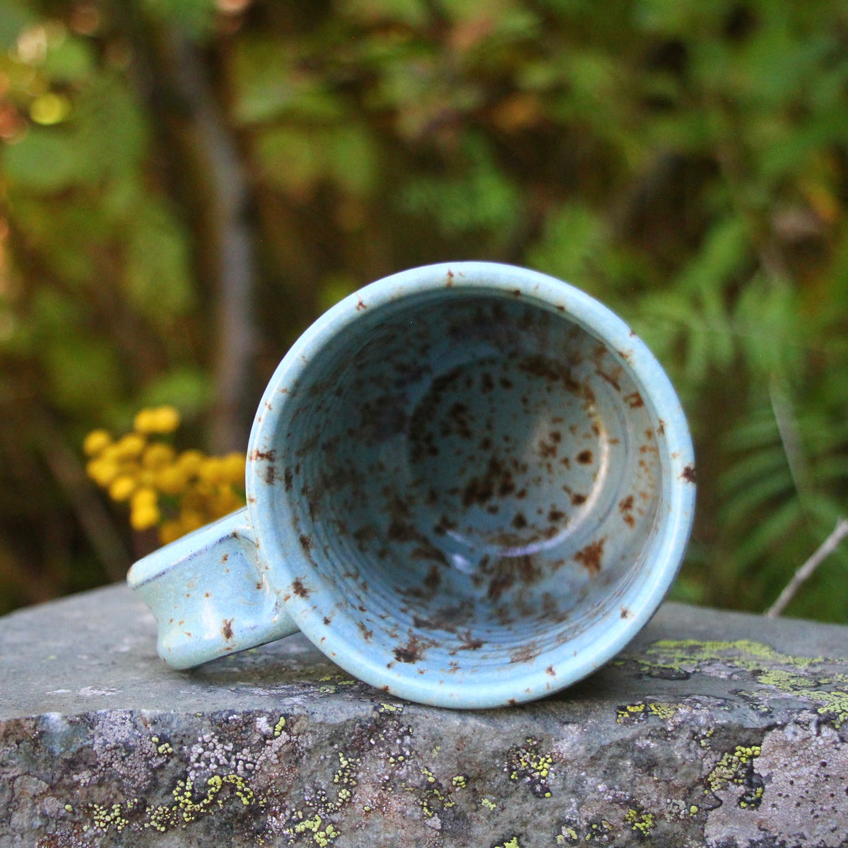 9. 16oz. Munching Marmot Mug