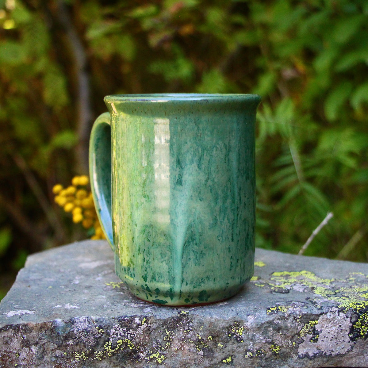10. 16oz. *discount* Black Bear and Salmon Mug