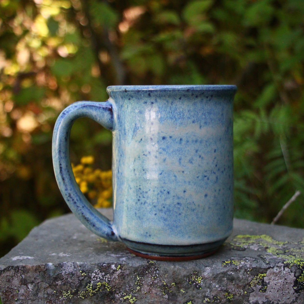 12. 16oz. *discount* Kokanee Salmon Mug