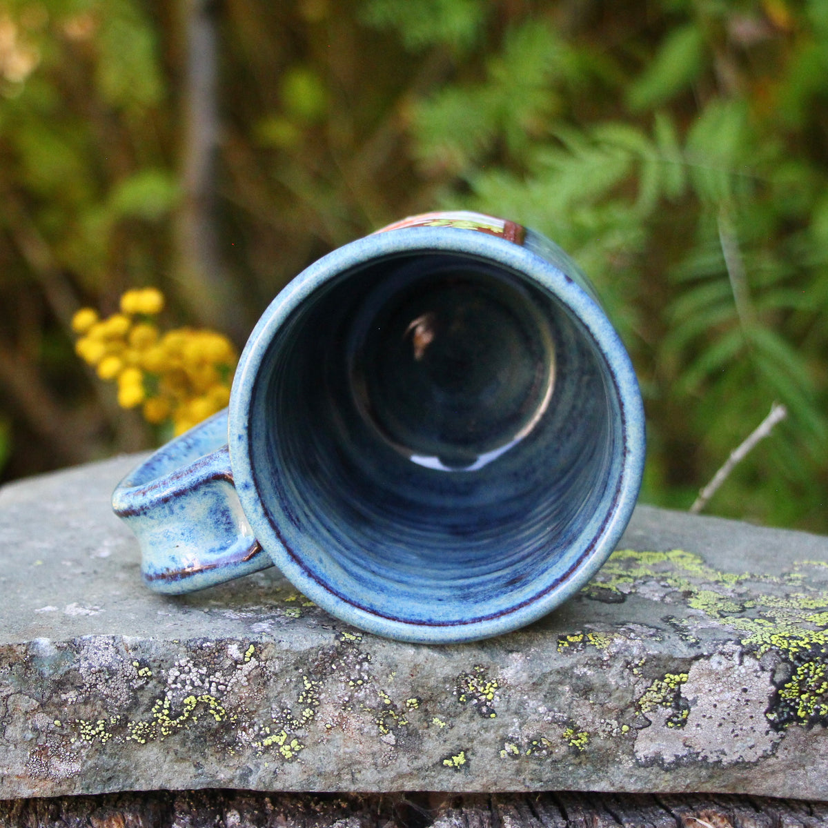 12. 16oz. *discount* Kokanee Salmon Mug
