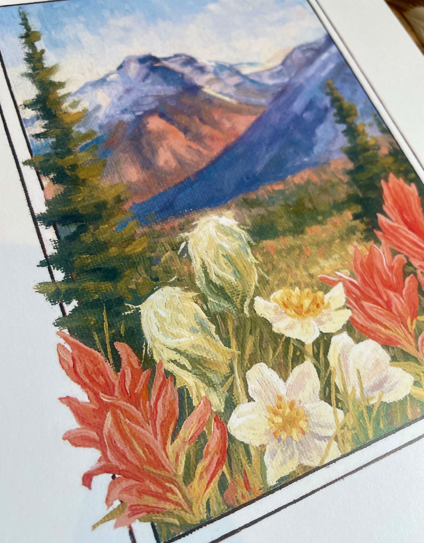 Yoho Wildflowers 8x10 Print