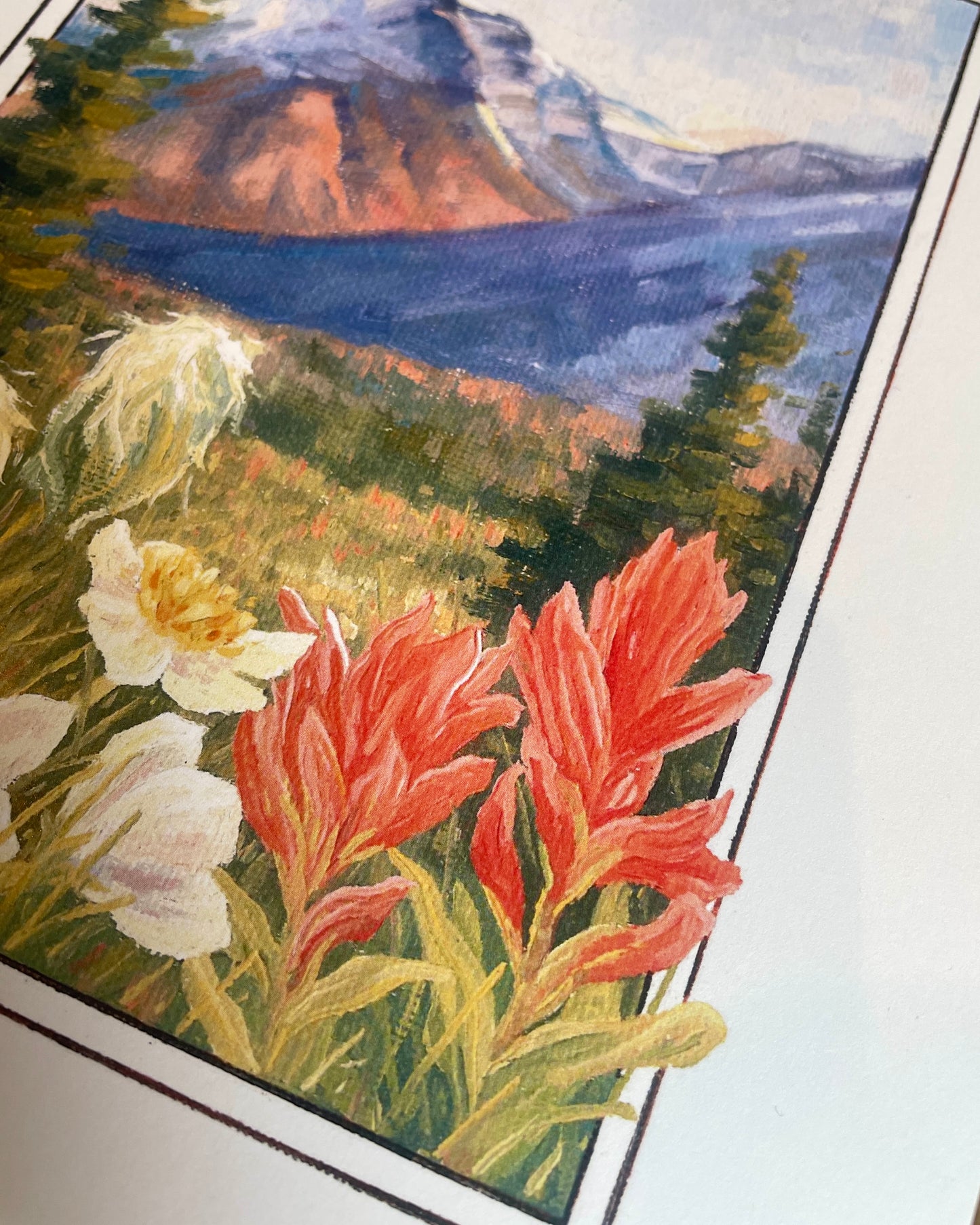 Yoho Wildflowers 8x10 Print