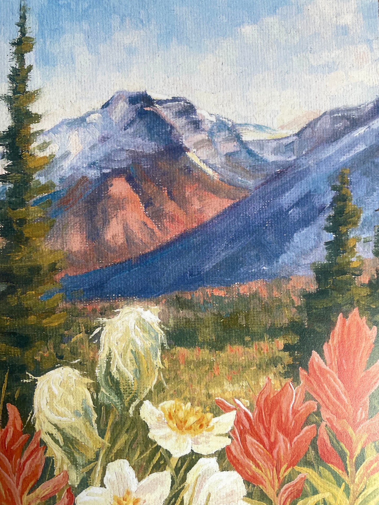 Yoho Wildflowers 8x10 Print