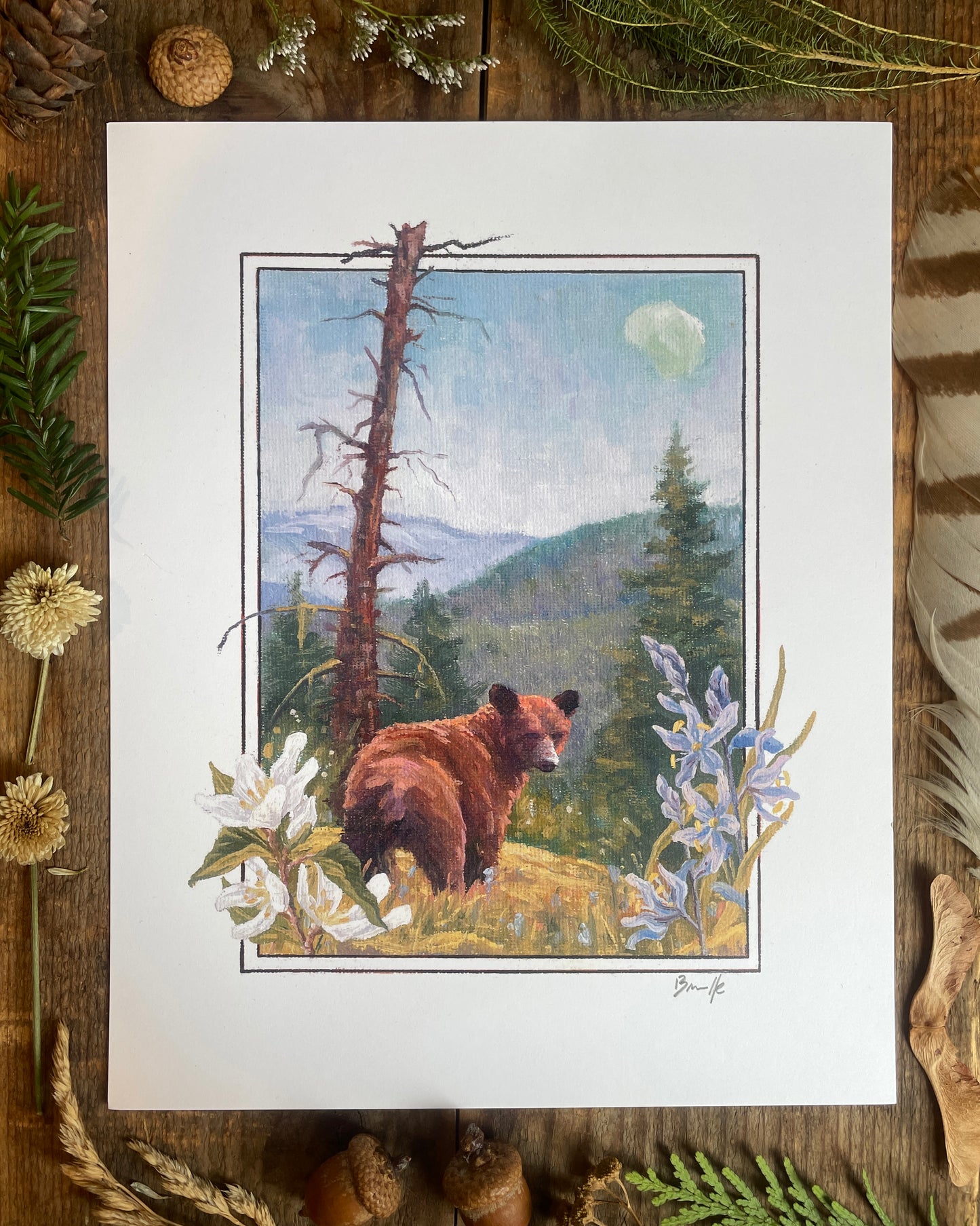 Cinnamon Bear 8x10 Print