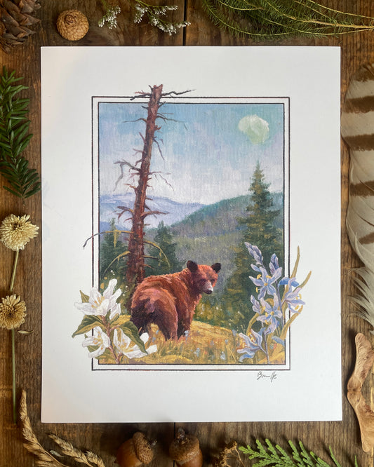 Cinnamon Bear 8x10 Print