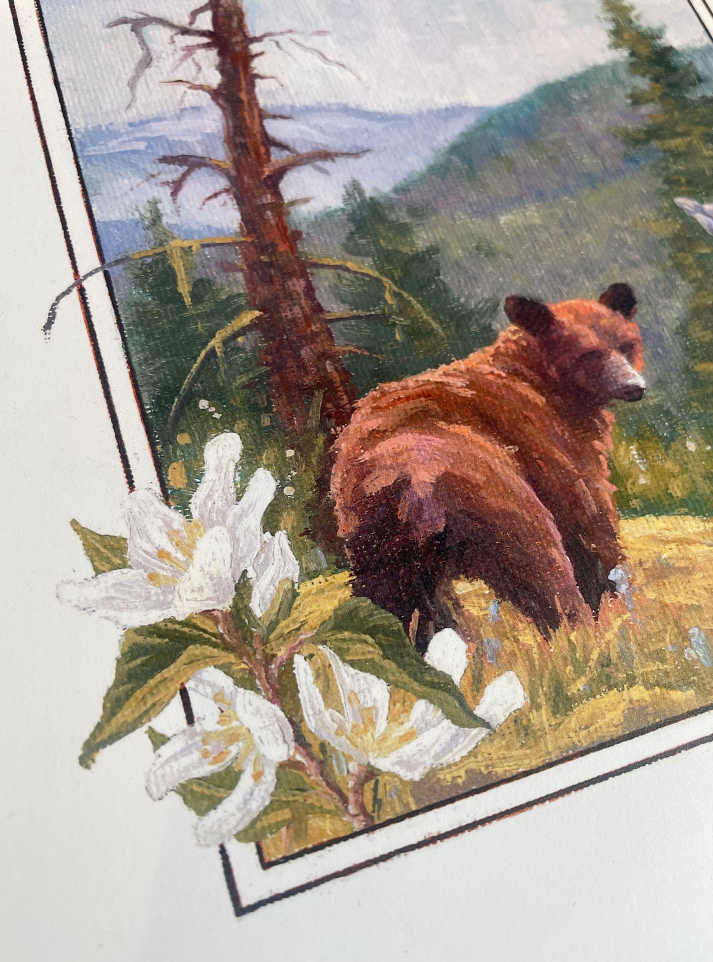 Cinnamon Bear 8x10 Print