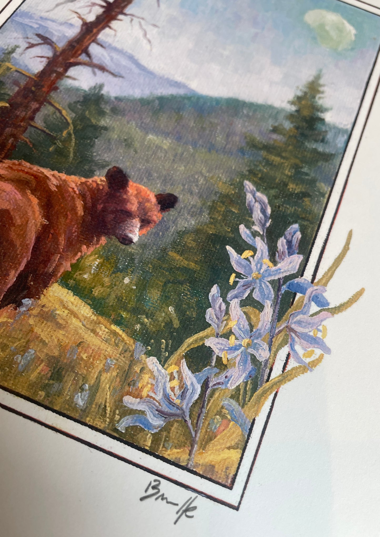 Cinnamon Bear 8x10 Print