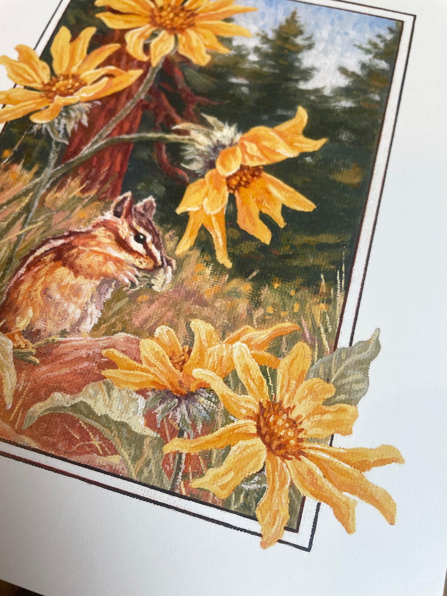 Chipmunk and Balsamroot 8x10 Print
