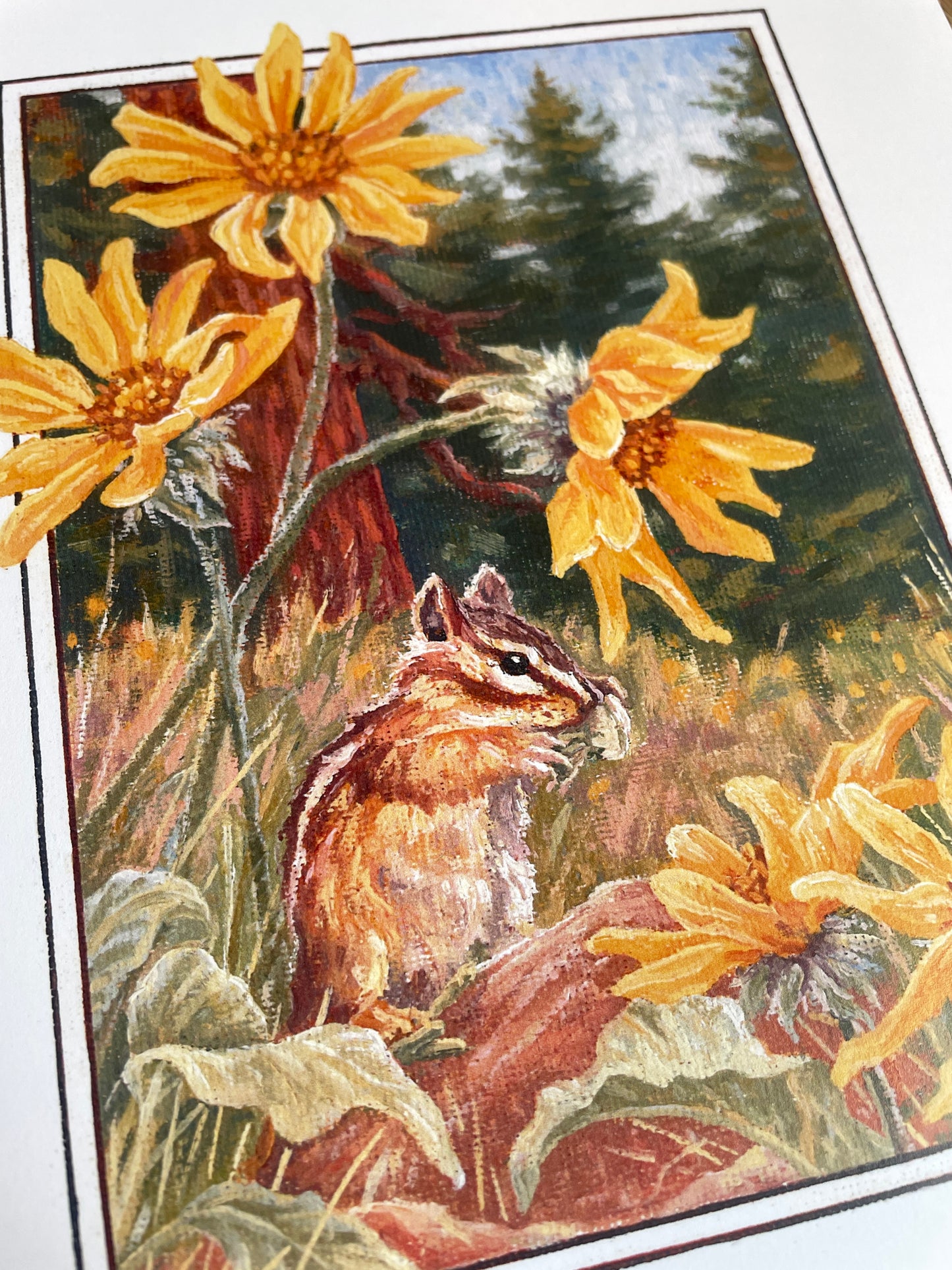 Chipmunk and Balsamroot 8x10 Print