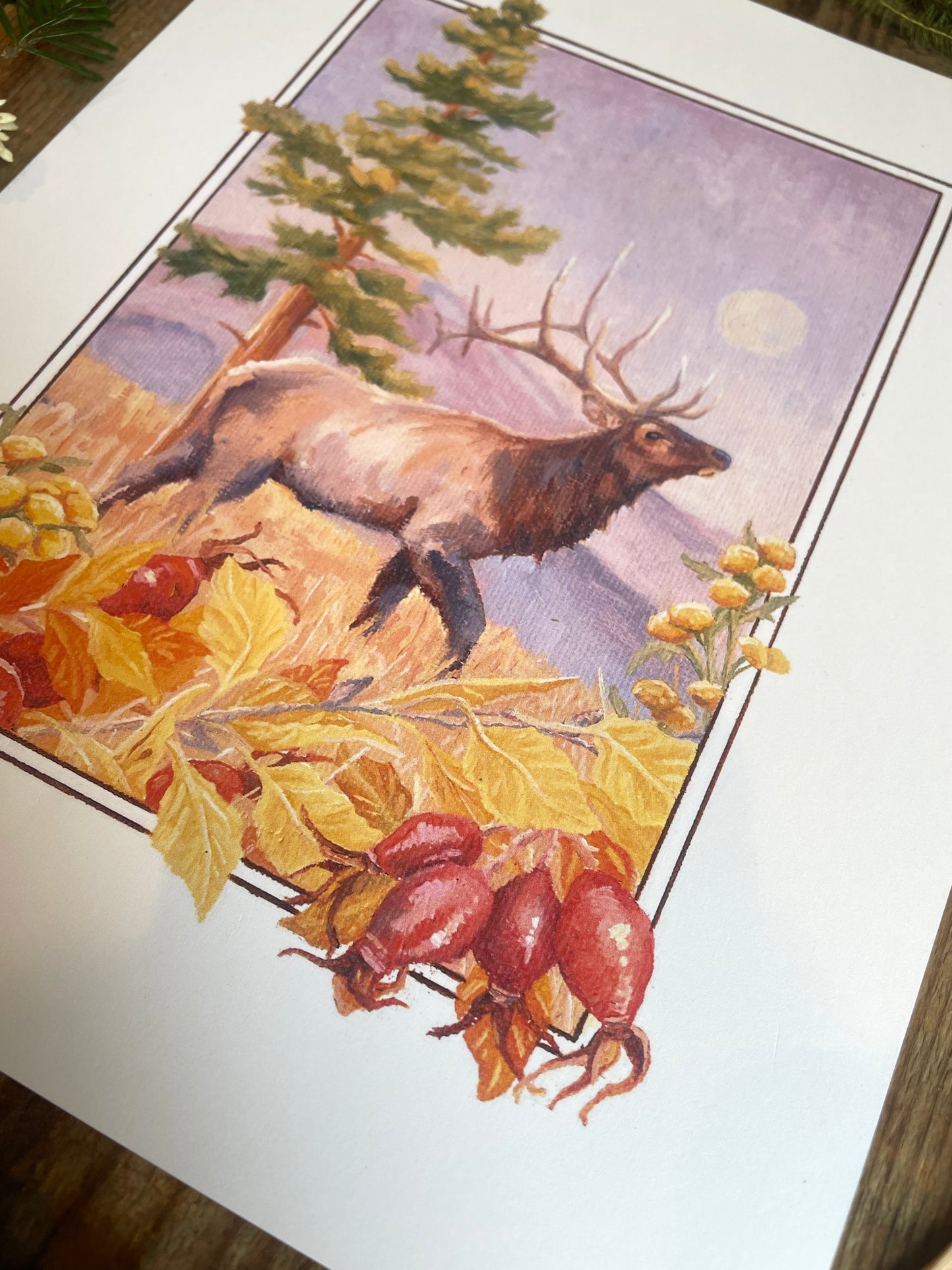 Elk, Ponderosa & Rosehip 8x10 Print