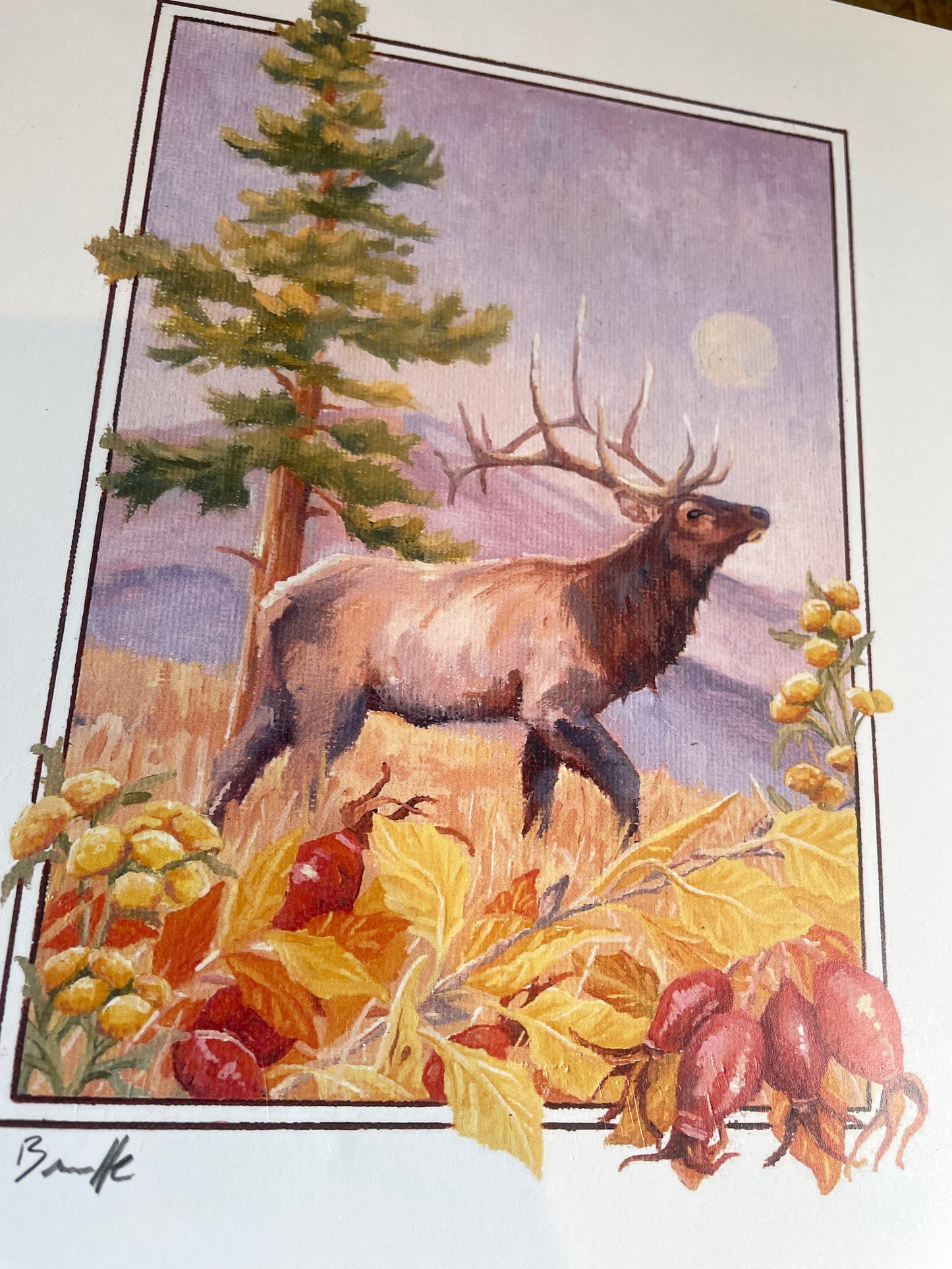 Elk, Ponderosa & Rosehip 8x10 Print