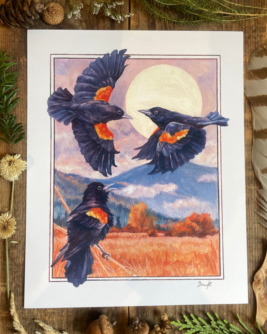 Red-winged Blackbirds 8x10 Print