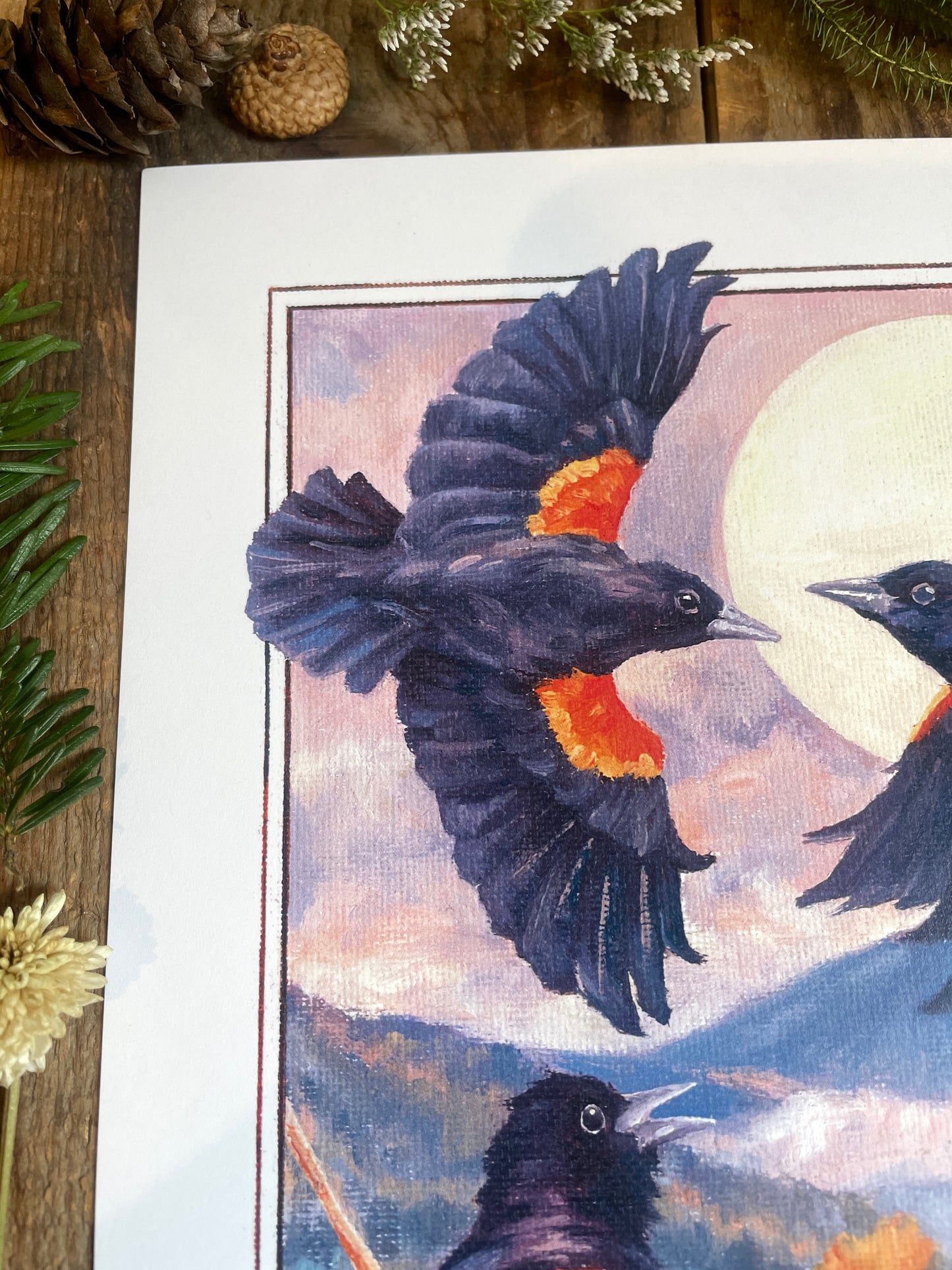 Red-winged Blackbirds 8x10 Print