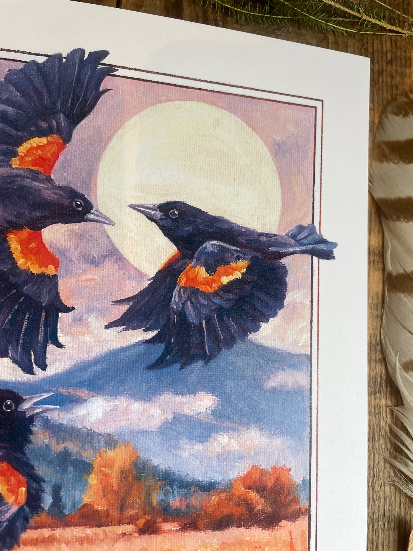 Red-winged Blackbirds 8x10 Print