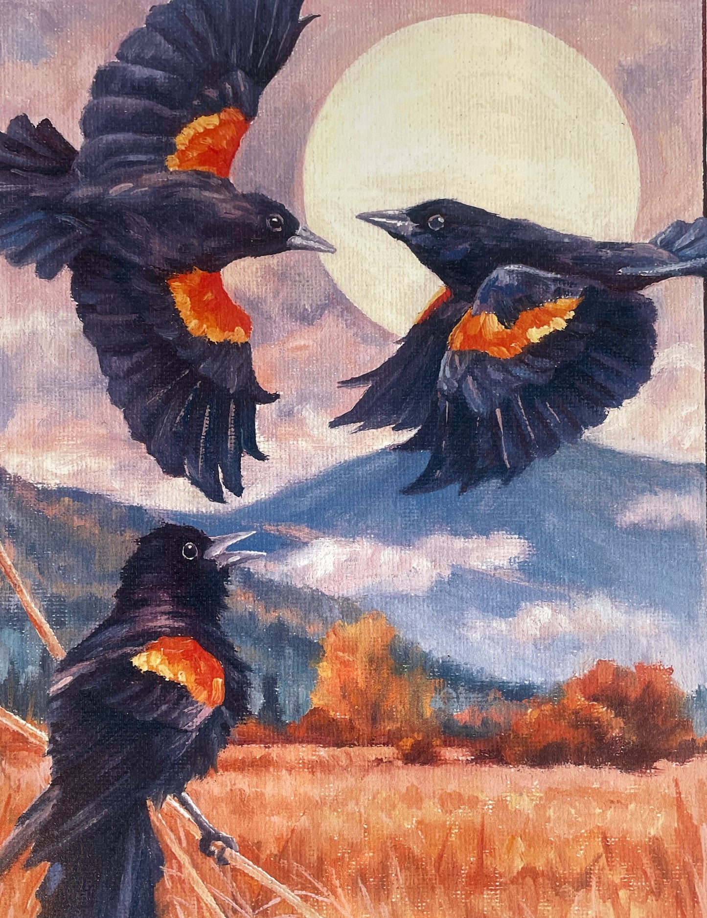 Red-winged Blackbirds 8x10 Print