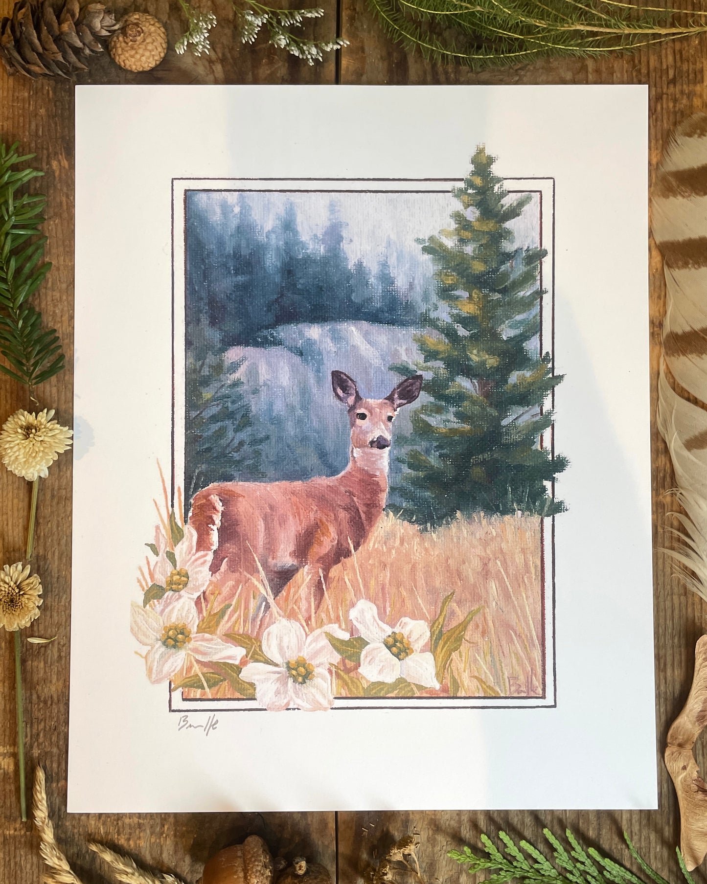 Doe and Dogwood 8x10 Print