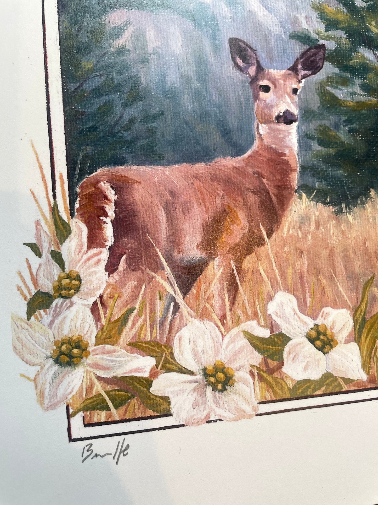Doe and Dogwood 8x10 Print