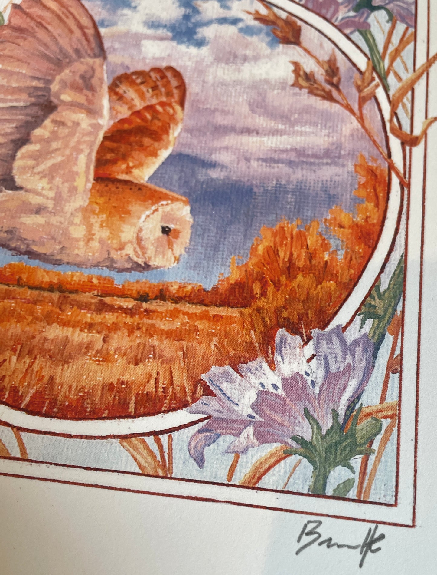 Bar Owl and Chicory 8x10 Print