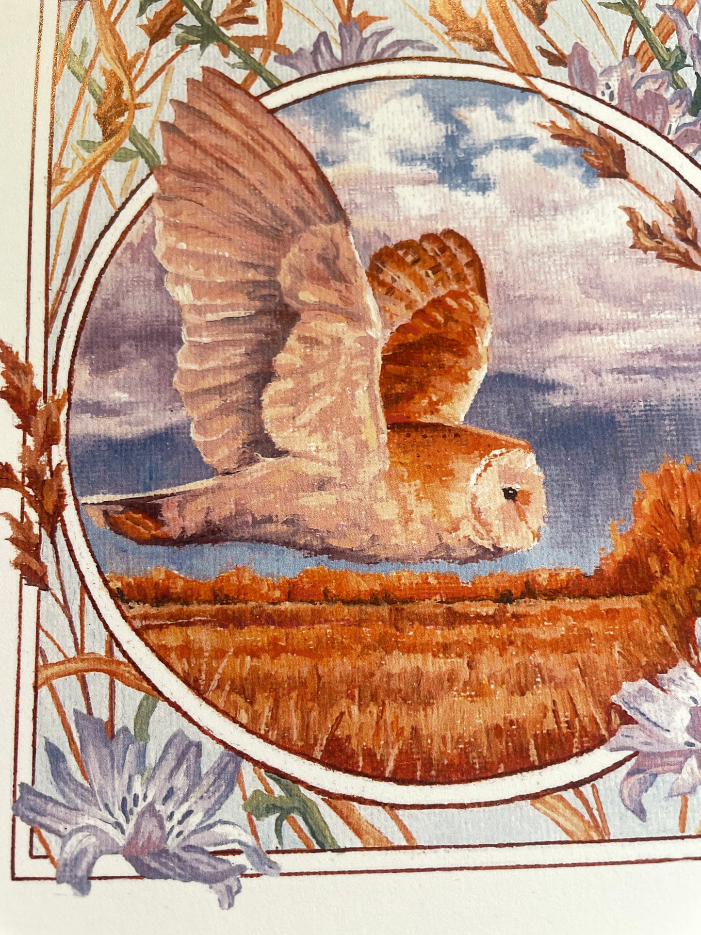 Bar Owl and Chicory 8x10 Print