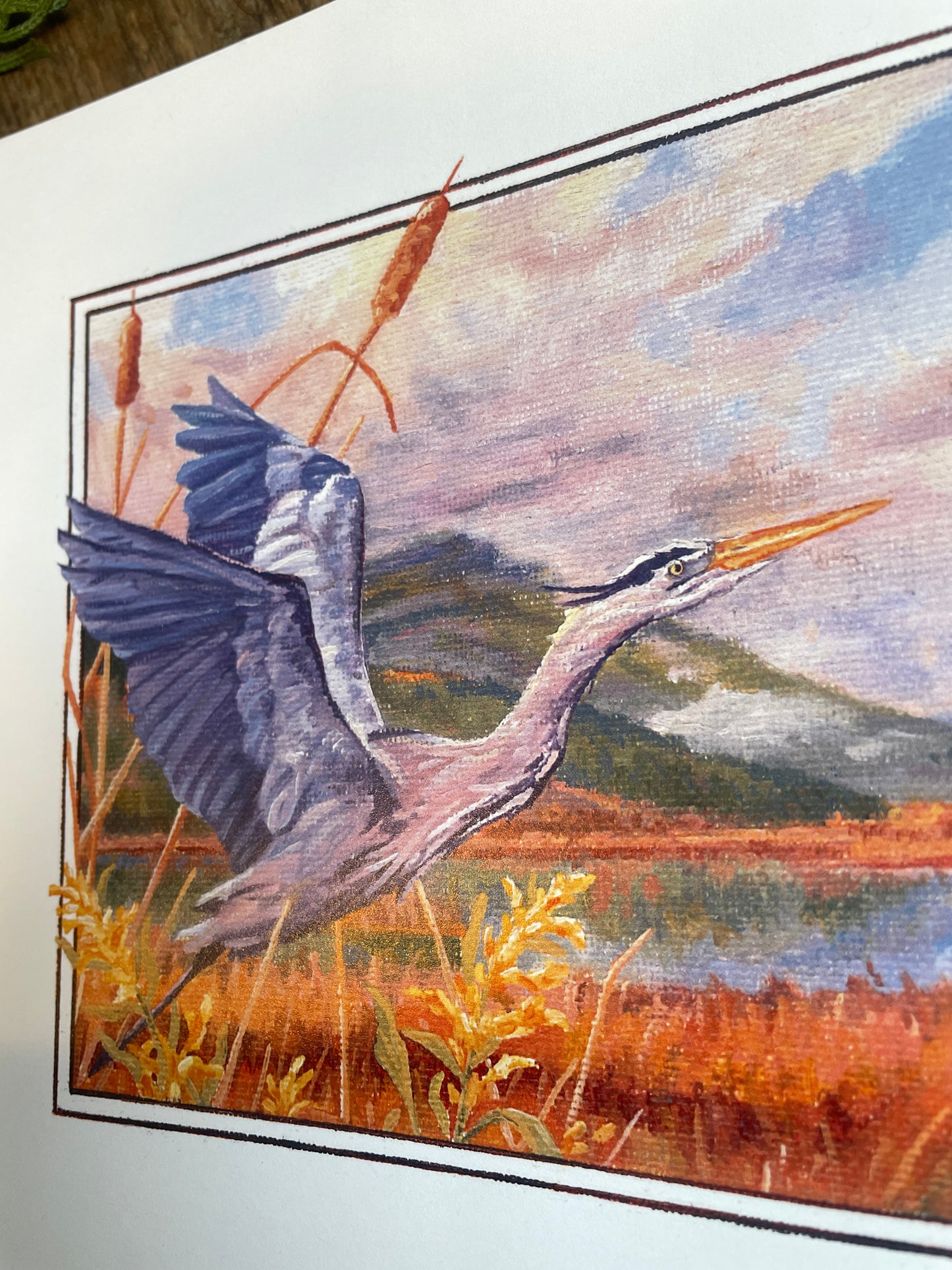 Blue Heron 8x10 Print
