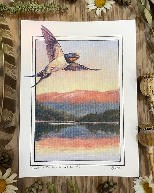Flying Swallow 6x8 Print