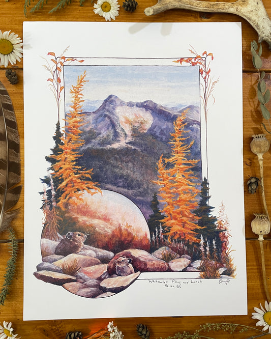 Pika and Larch 12x16 Print
