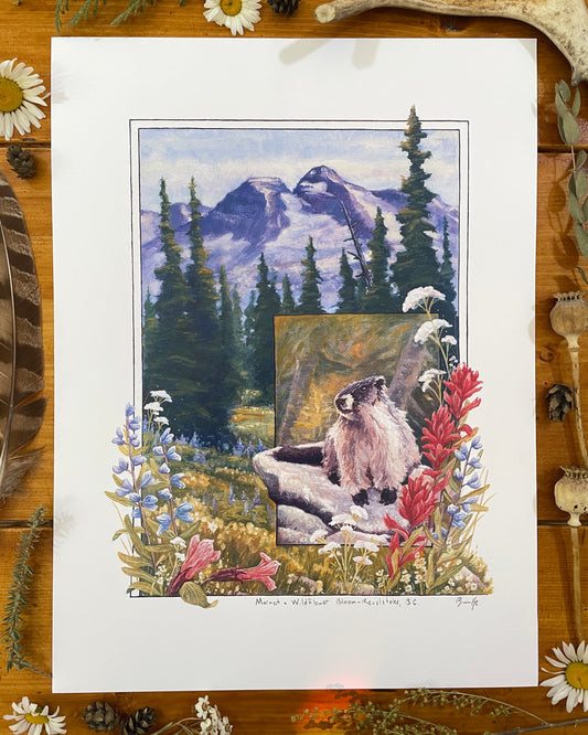 Marmot and Wildflowers 12x16 Print