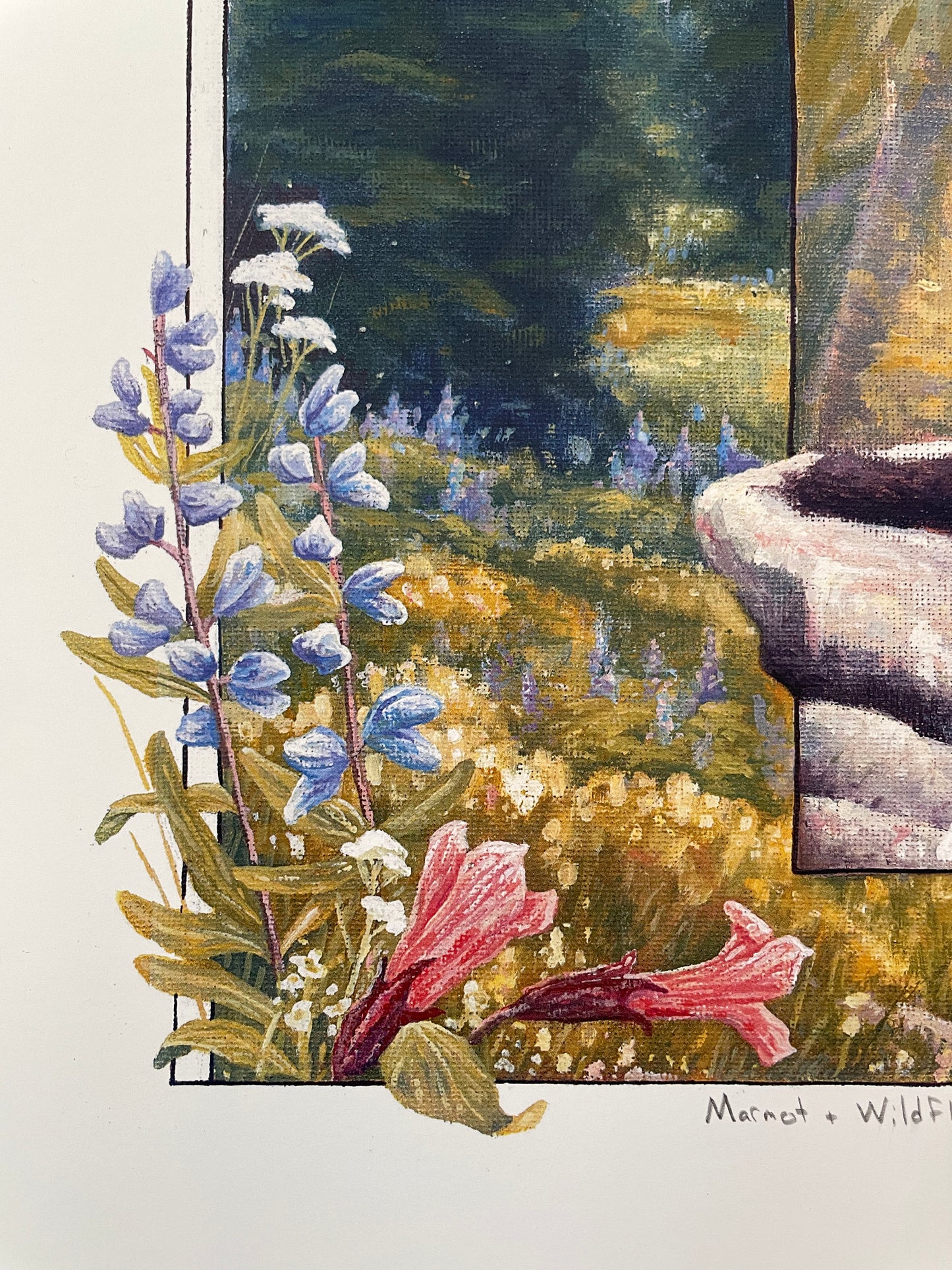 Marmot and Wildflowers 12x16 Print