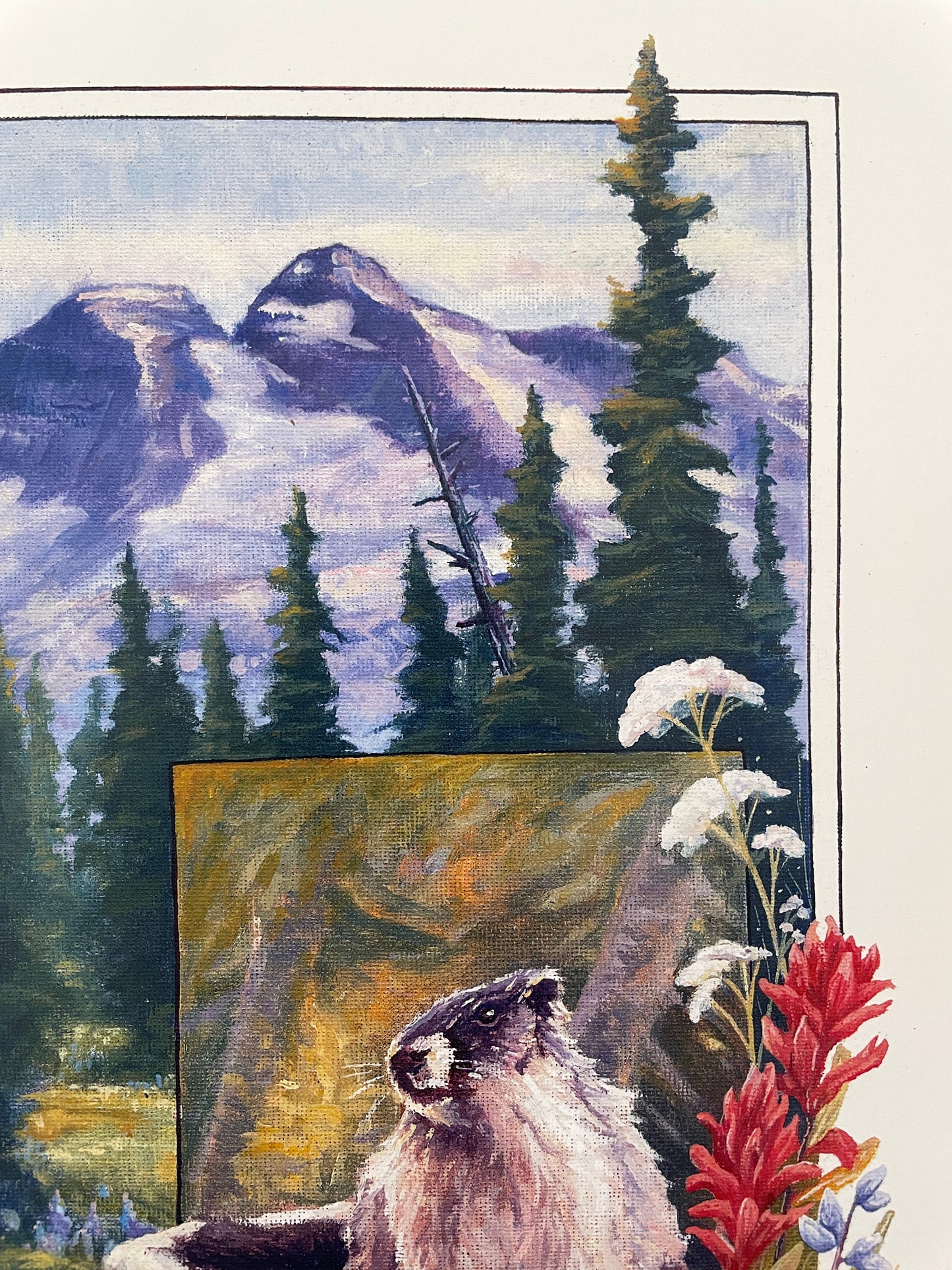 Marmot and Wildflowers 12x16 Print
