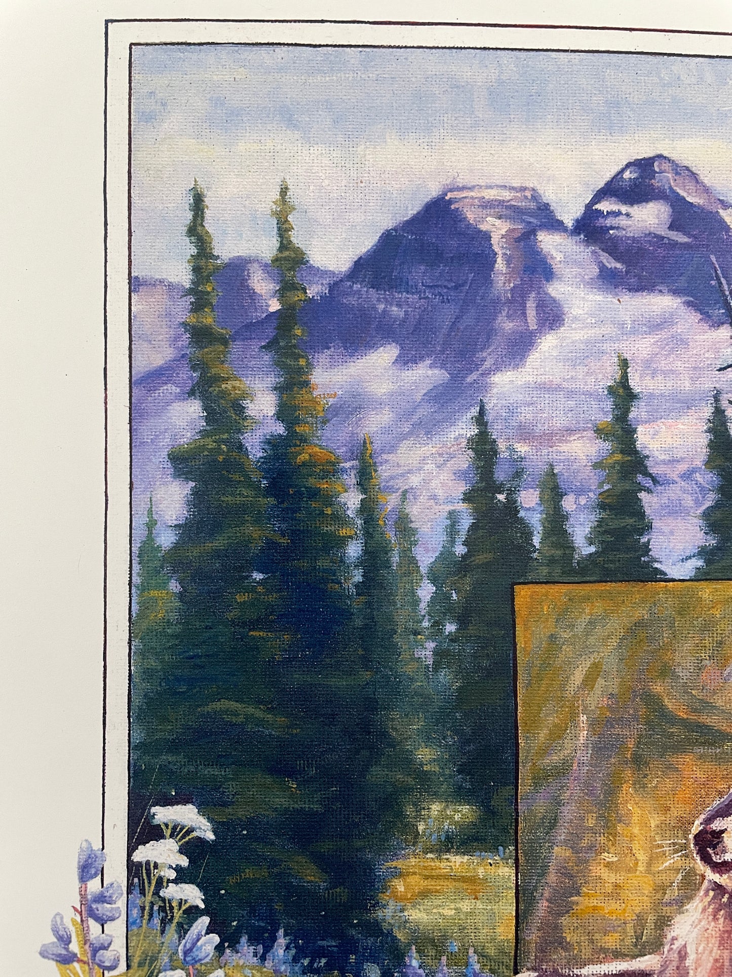 Marmot and Wildflowers 12x16 Print