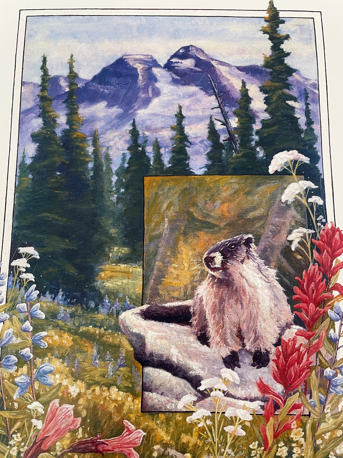 Marmot and Wildflowers 12x16 Print
