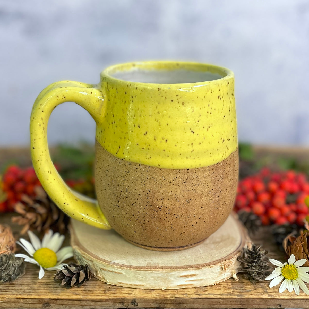 13. 18oz. Honeybee Mug