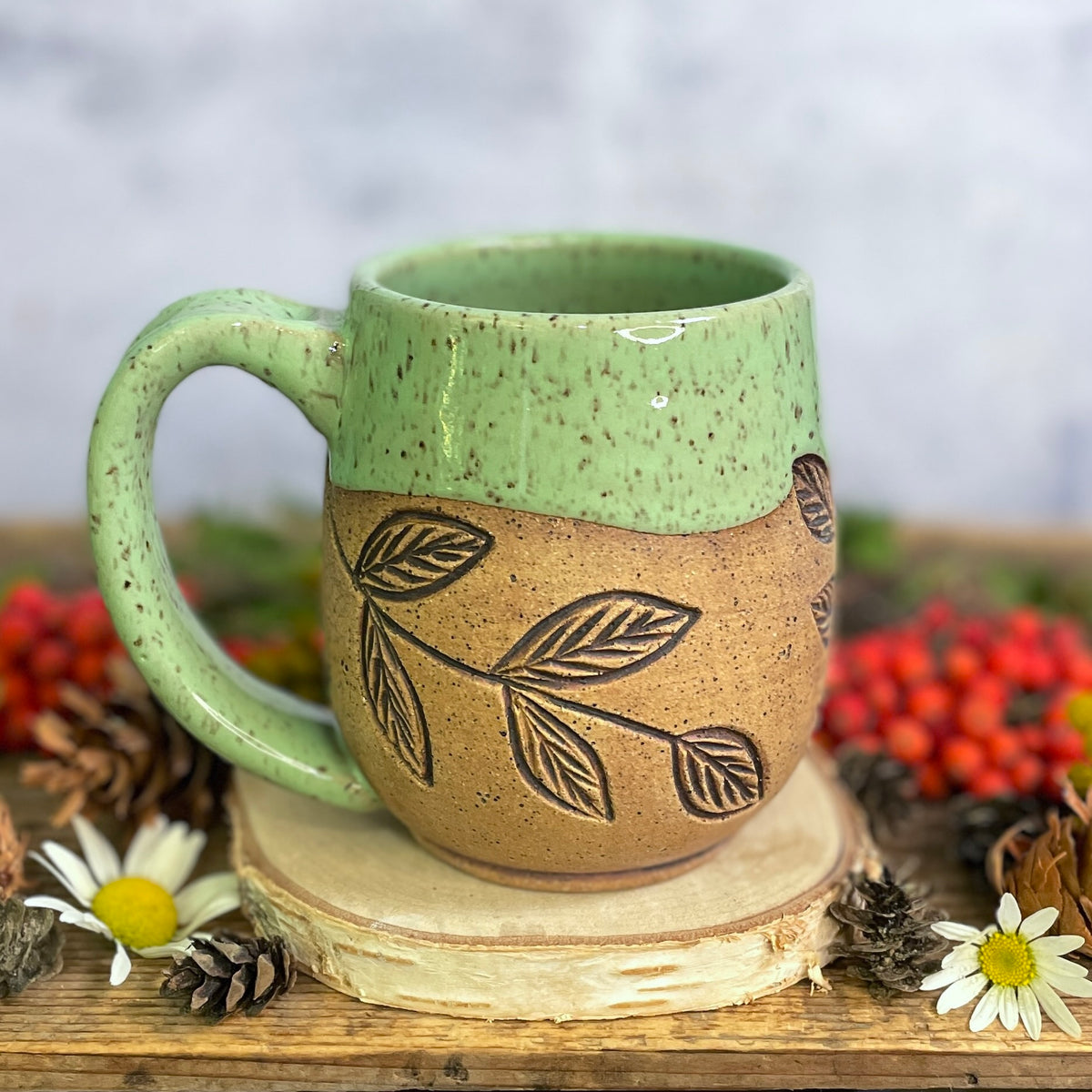 15. 18oz. Dragonfly Mug