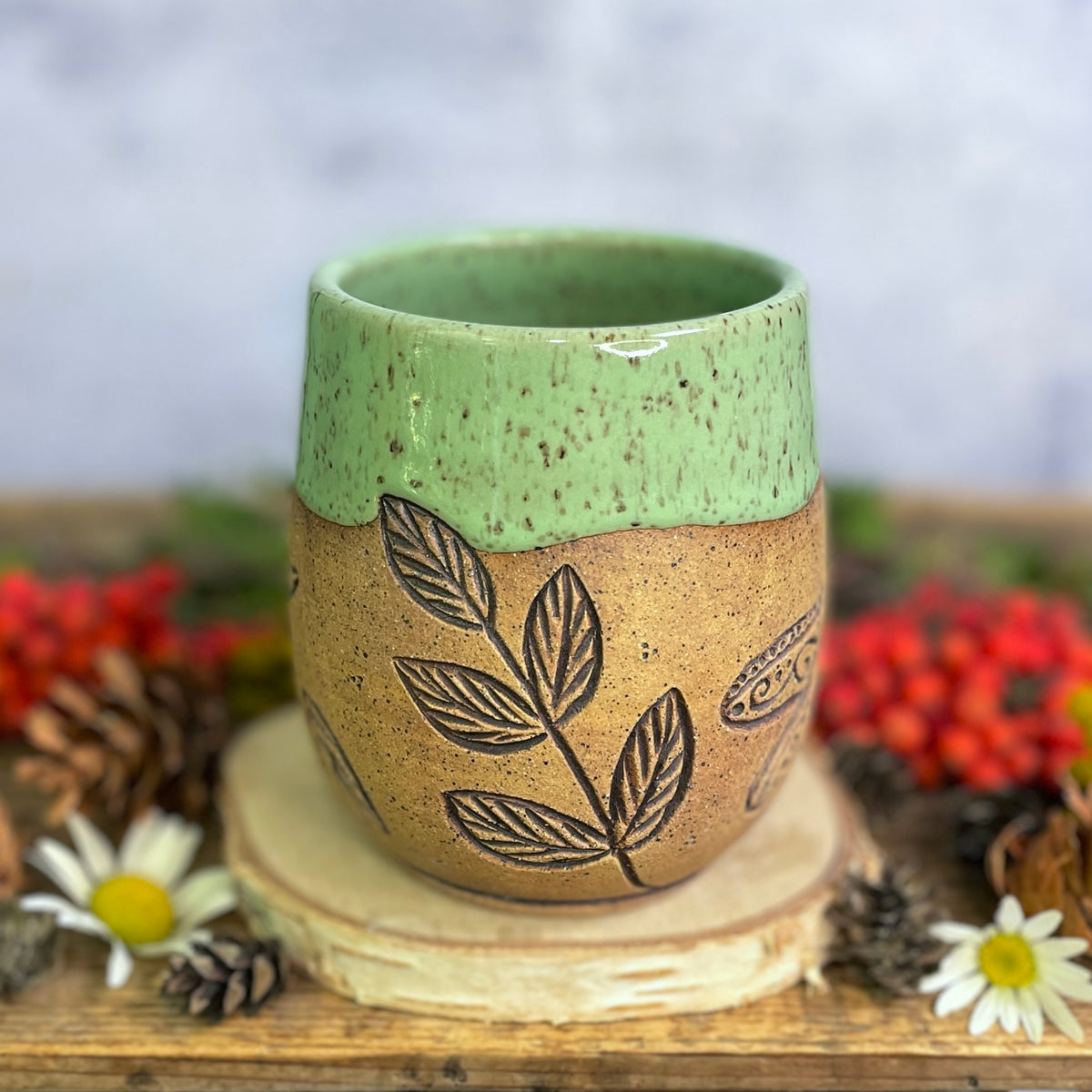 15. 18oz. Dragonfly Mug