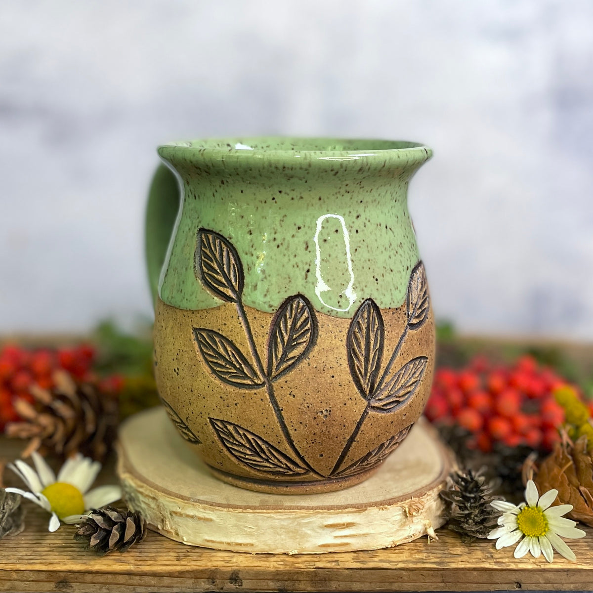 17. 18oz. Dragonfly Mug