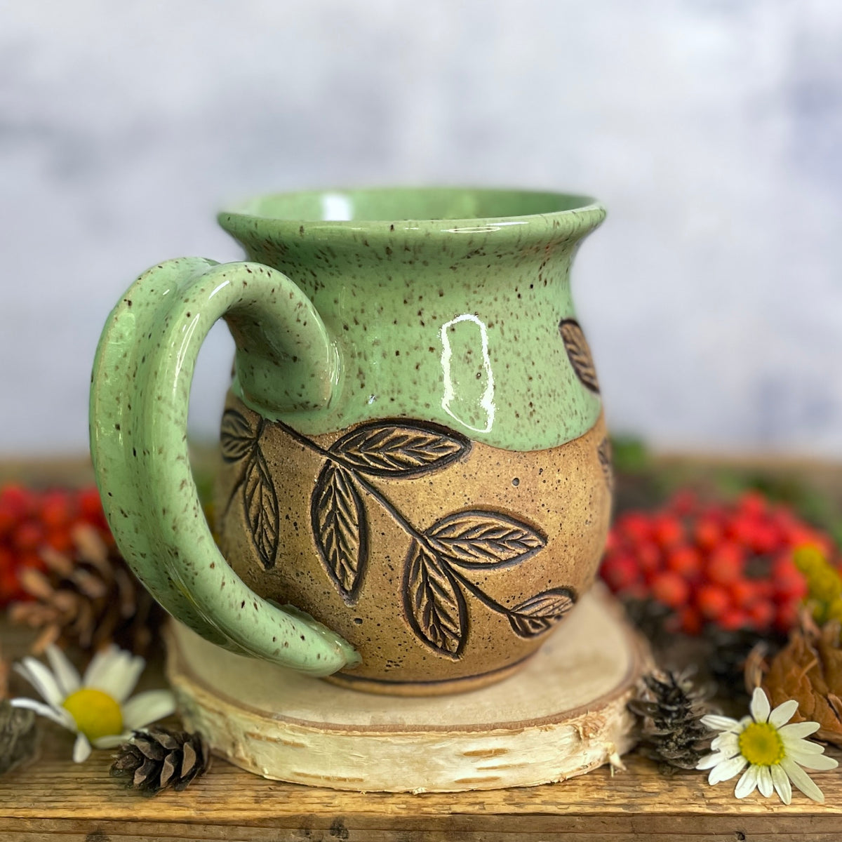 17. 18oz. Dragonfly Mug