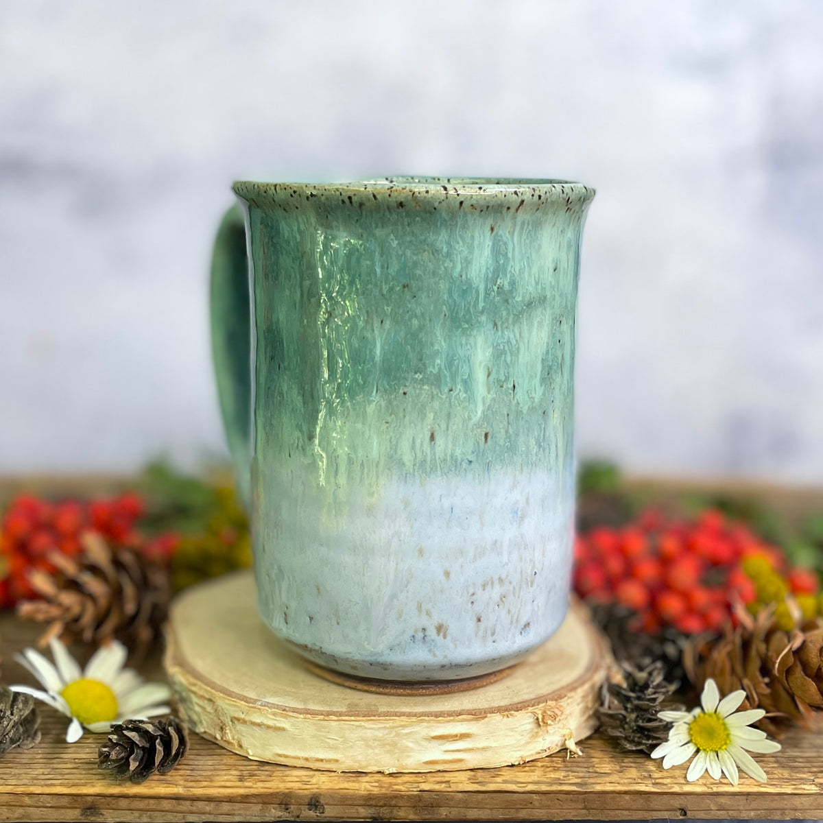 31. 16oz. Big and Little Views Mug