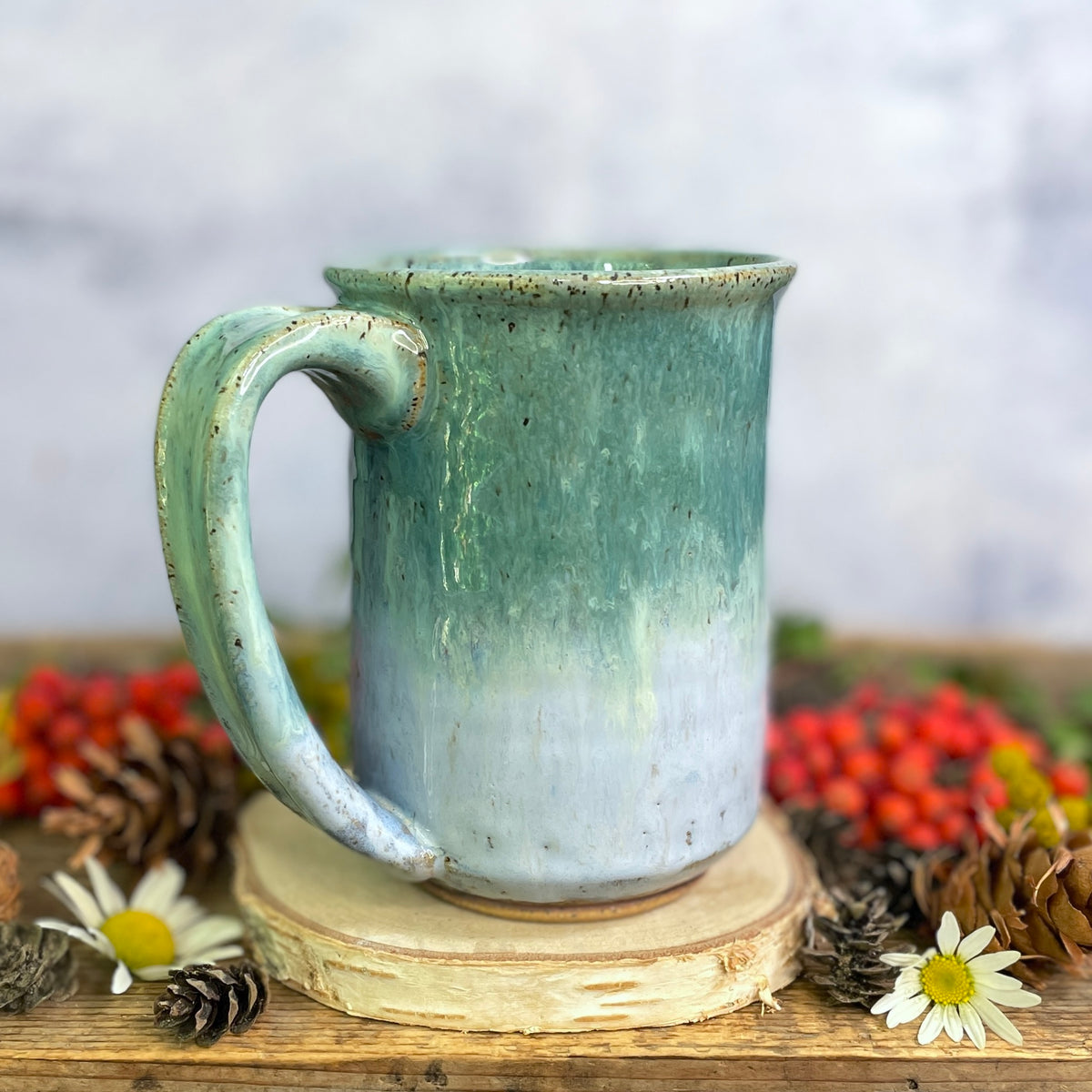 31. 16oz. Big and Little Views Mug